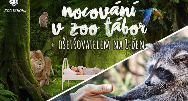 Nocování v ZOO Tábor včetně možnosti stát se ošetřovatelem zvířat